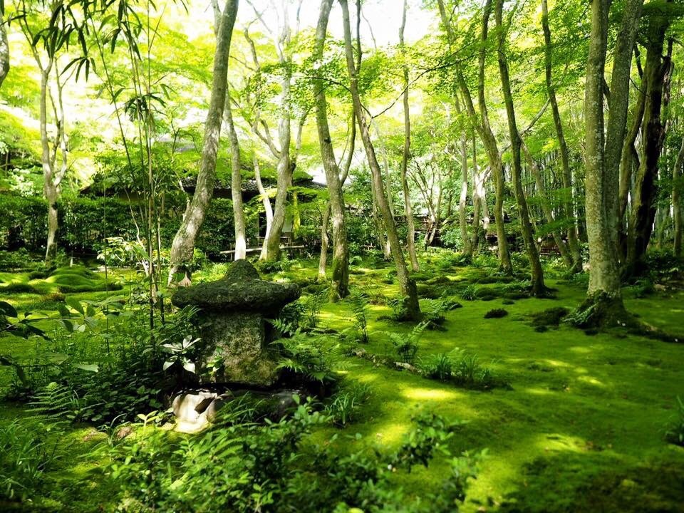 祇王時