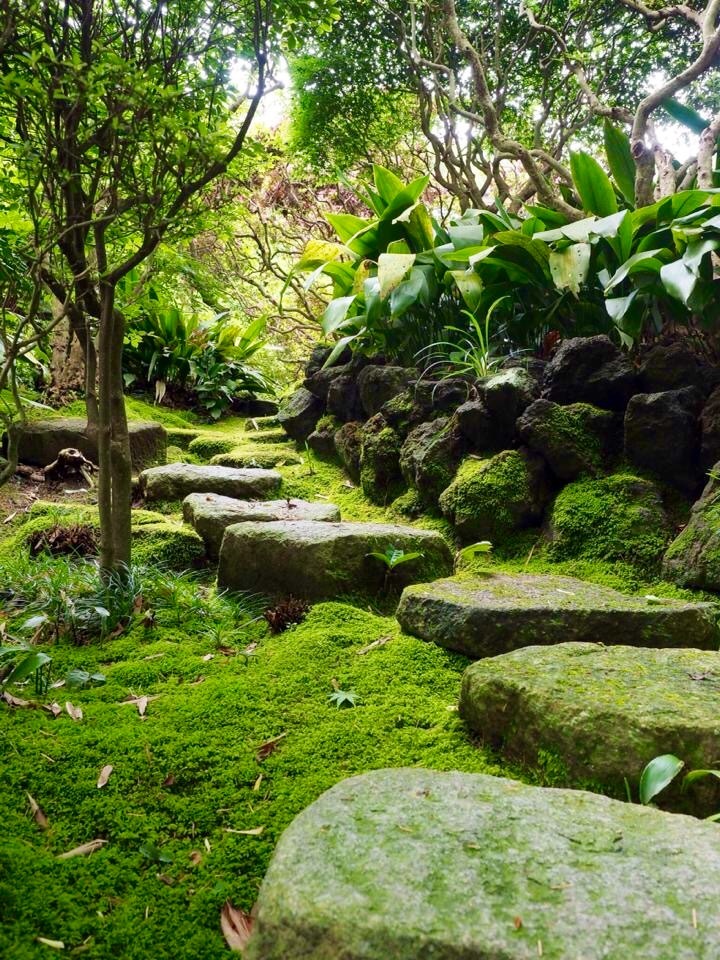 鎌倉散歩