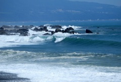 海