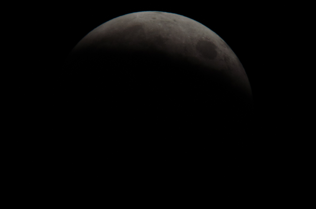 DSC_0212