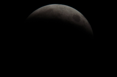 DSC_0212