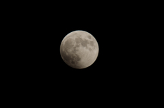 DSC_0090