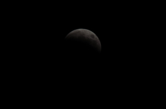 DSC_0190