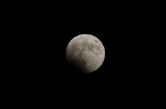 DSC_0114