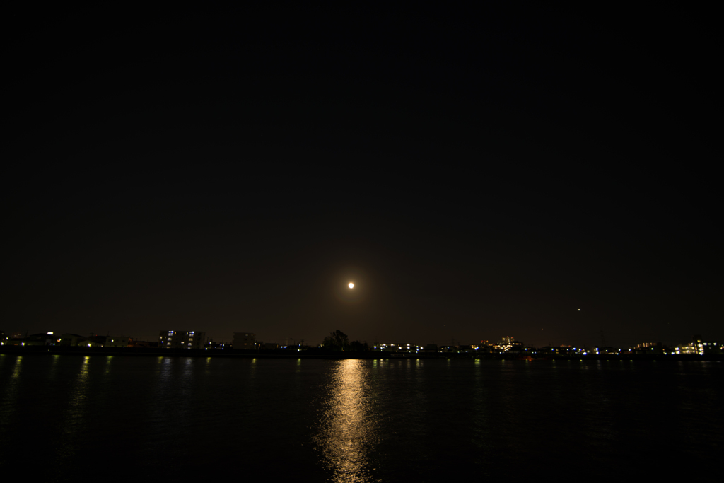 D80_5008