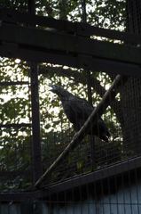 20141019 上野動物園にて