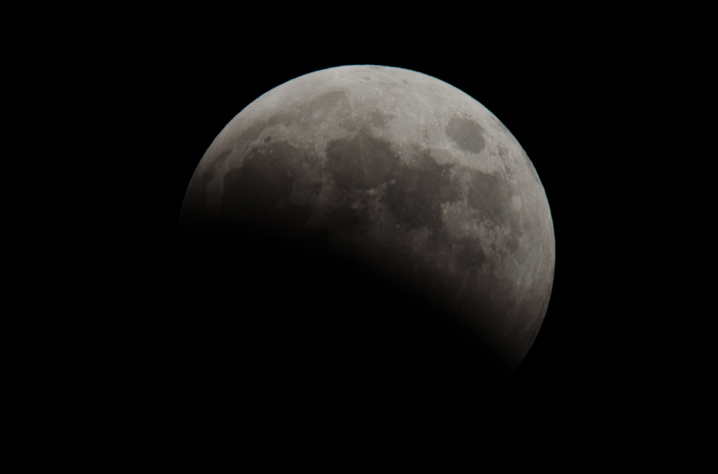 DSC_0170
