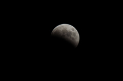 DSC_0164