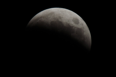 DSC_0191