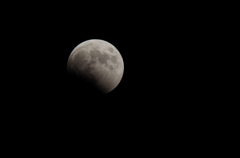 DSC_0134