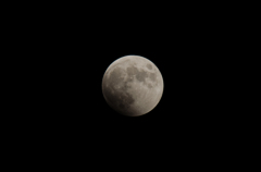 DSC_0099