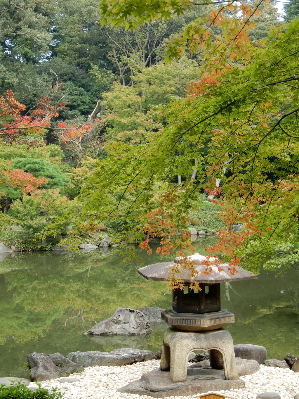 秋めく旧古河庭園