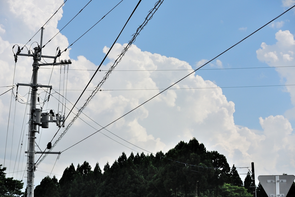 電柱と夏空