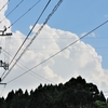 電柱と夏空