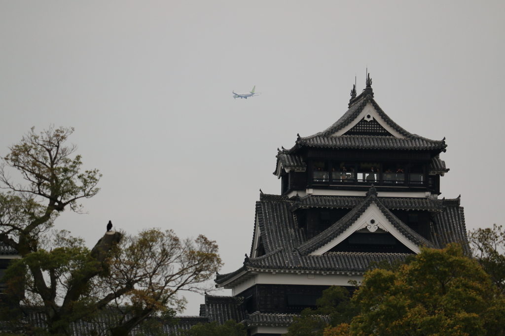 着陸態勢。