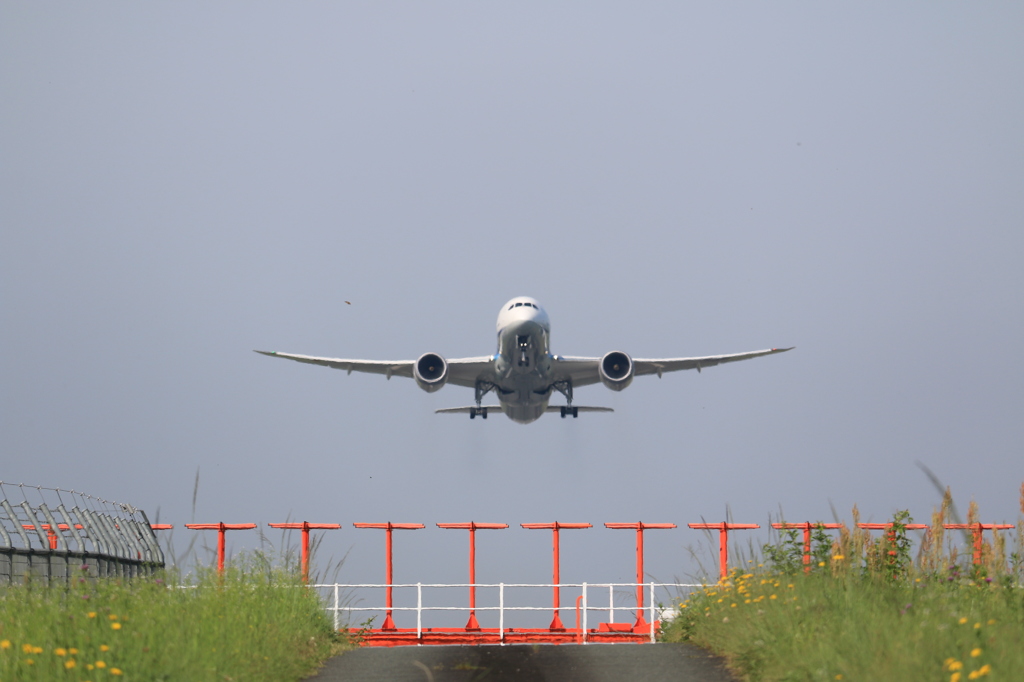 ANA BOEING 787-8 in KMJ 4