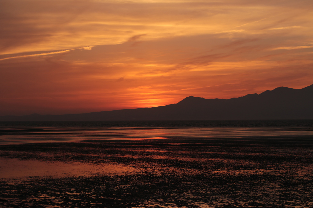 干潟の夕景 (御輿来海岸) 8