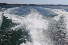 湯島猫紀行 2 - 高速シャッタースピードで船の軌跡(水しぶき)を撮る！
