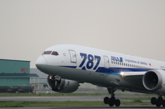 ANA BOEING 787-8 in KMJ 2