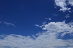 久しぶりの青空 3