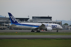 ANA BOEING 787-8 in KMJ 1