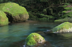 清流 “菊池渓谷” 15