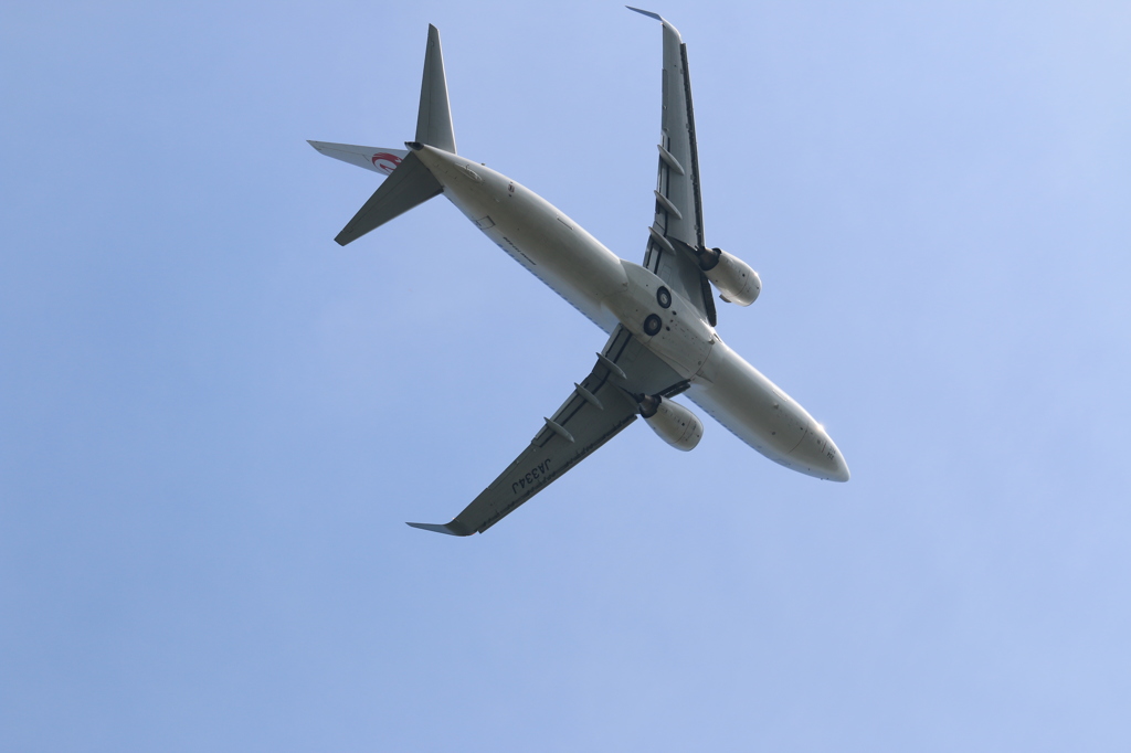 JAL BOEING 737-800 in KMJ 3