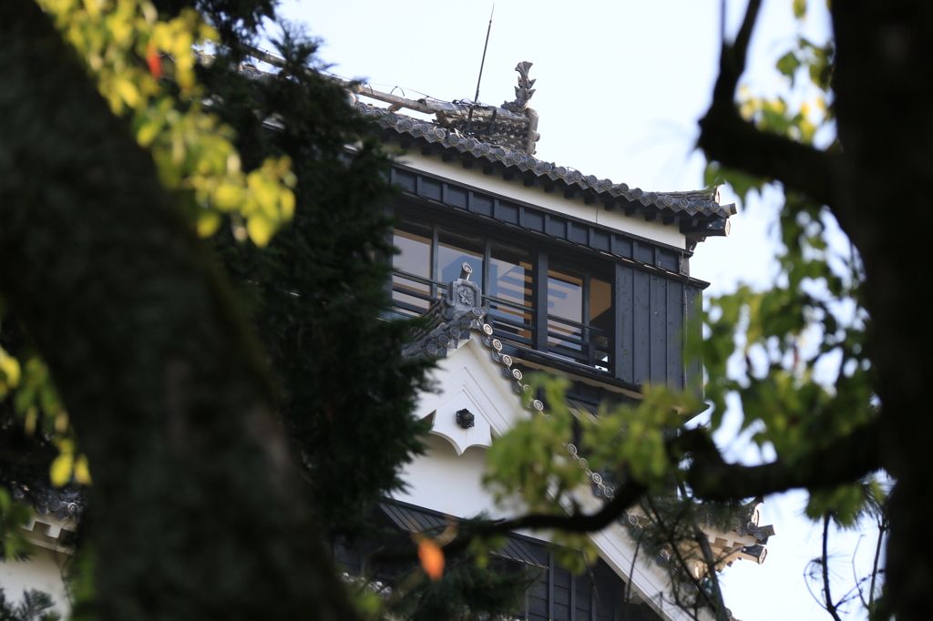 本丸 -  震災後の熊本城 3