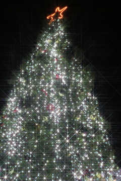 輝けクリスマスツリー！ ～ RKK きらきらファクトリー ～ 10