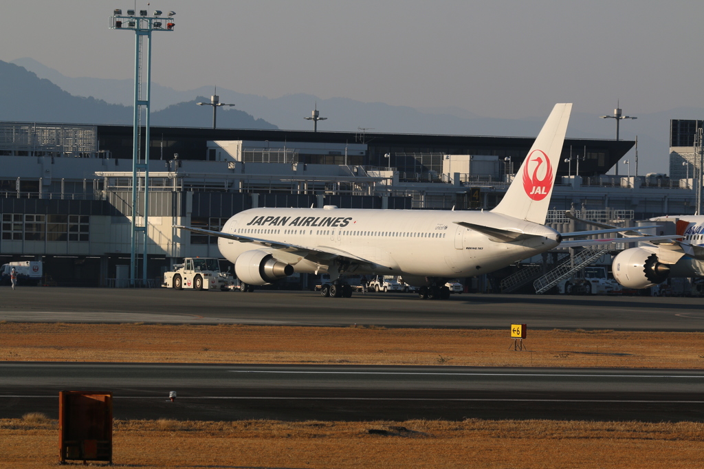 旅立ちのとき - 阿蘇くまもと空港の朝 10