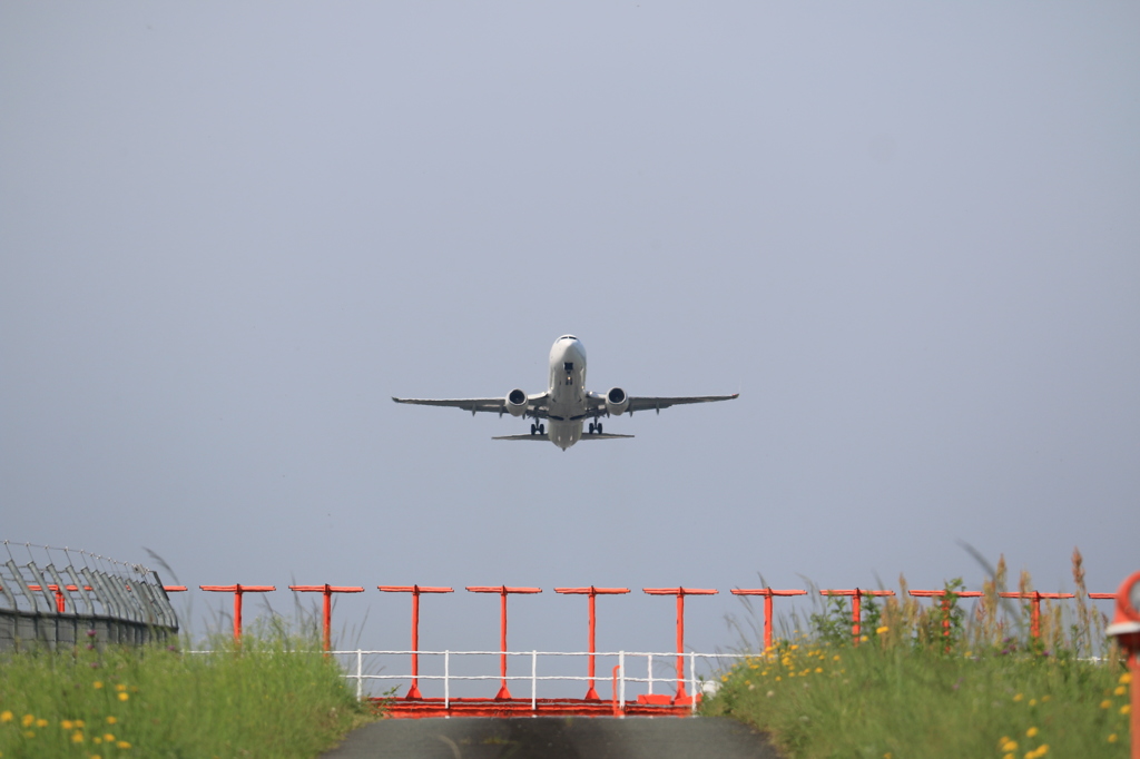 JAL BOEING 737-800 in KMJ 2