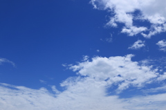 久しぶりの青空 2