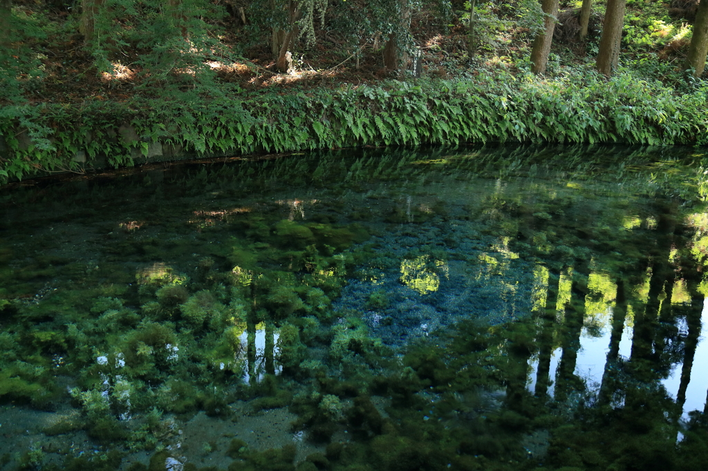 熊本の水処 ～ 白川水源 ～ 2