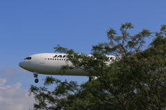 JAL BOEING 767-300 in KMJ 4