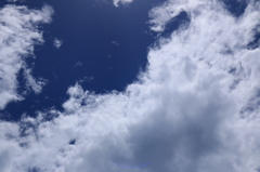 久しぶりの青空 1