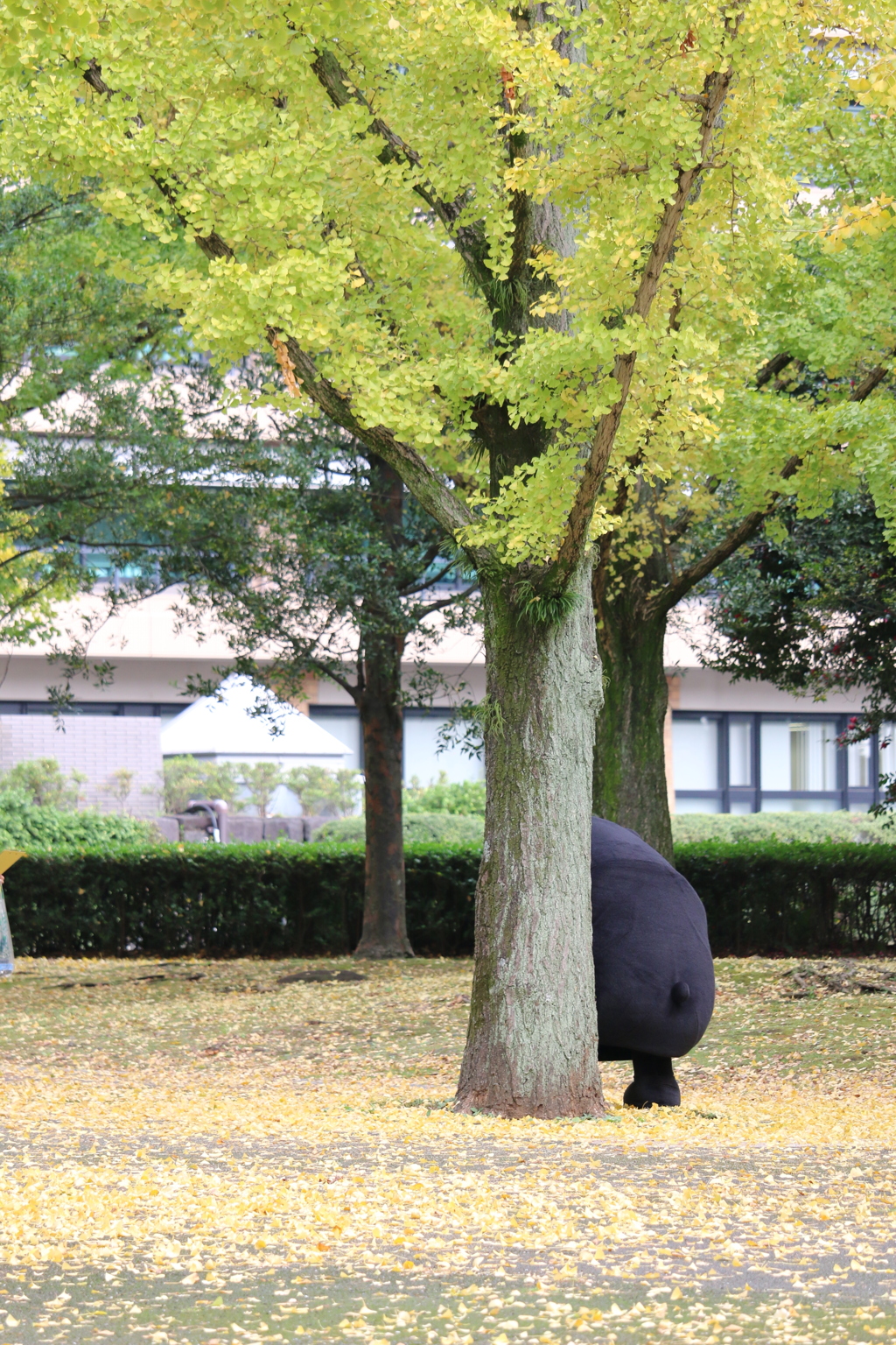 頭隠して…
