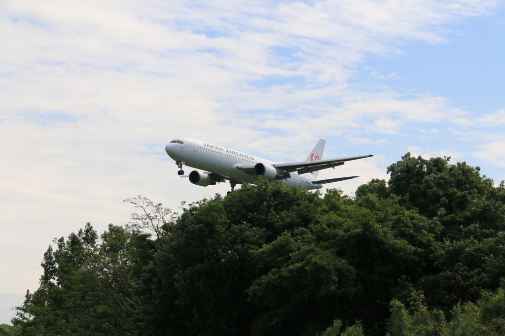 JAL BOEING 767-300 in KMJ 1