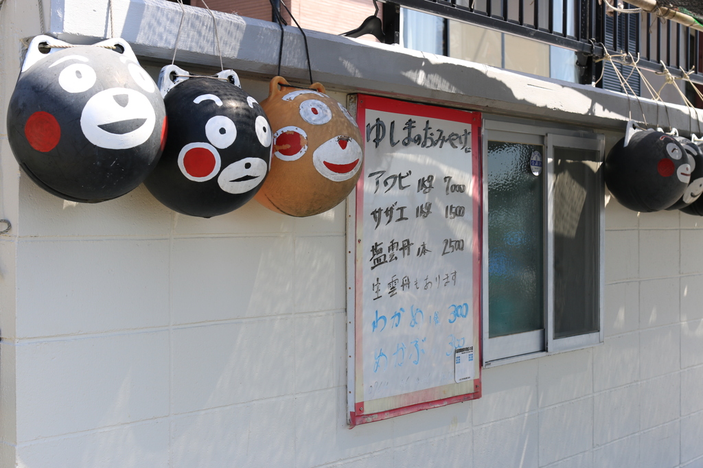 湯島猫紀行 8 - ネコじゃなくて “クマ” がお出迎え！？