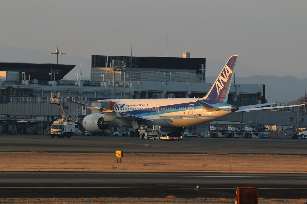 ドリームライナーの朝 - 阿蘇くまもと空港の朝 2