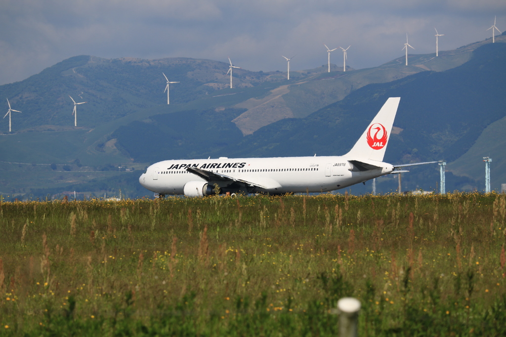 JAL BOEING 767-300 in KMJ 3