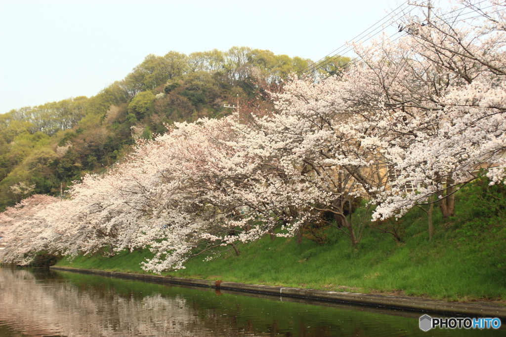 広島県　福山市　沼隈町　千年橋