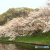 広島県　福山市　沼隈町　千年橋