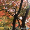 名勝  豪渓2