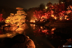 神勝寺　紅葉 4