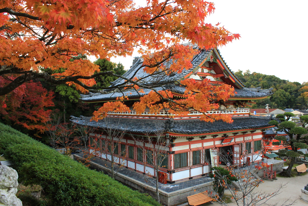 祝  耕三寺  紅葉写真コンテスト
