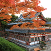 祝  耕三寺  紅葉写真コンテスト