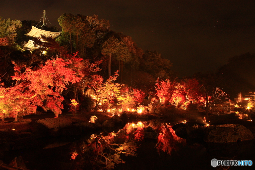 神勝寺　紅葉 5