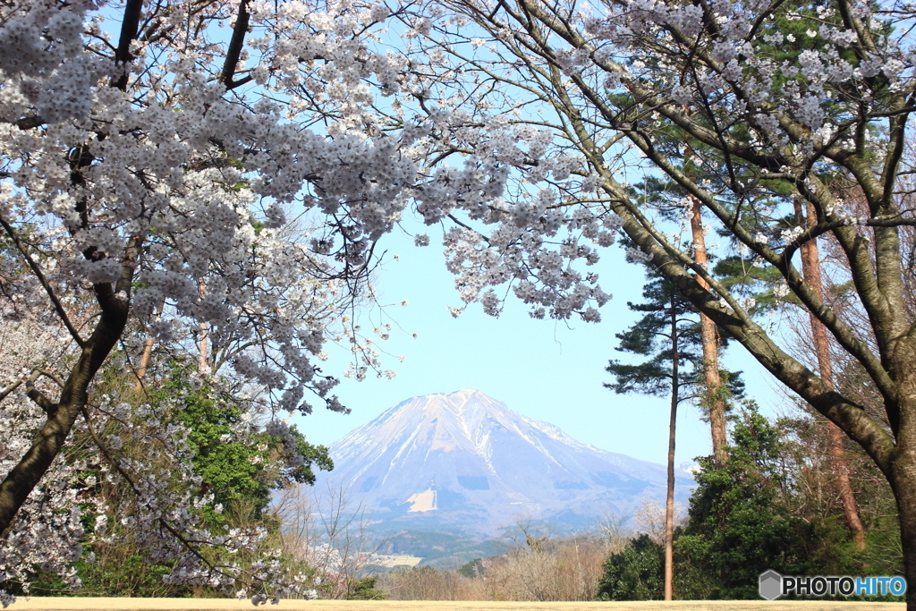 鳥取花回廊