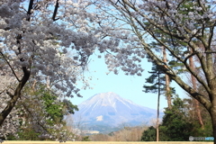 鳥取花回廊