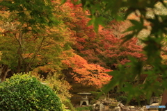 尾関山公園　紅葉狩り 6